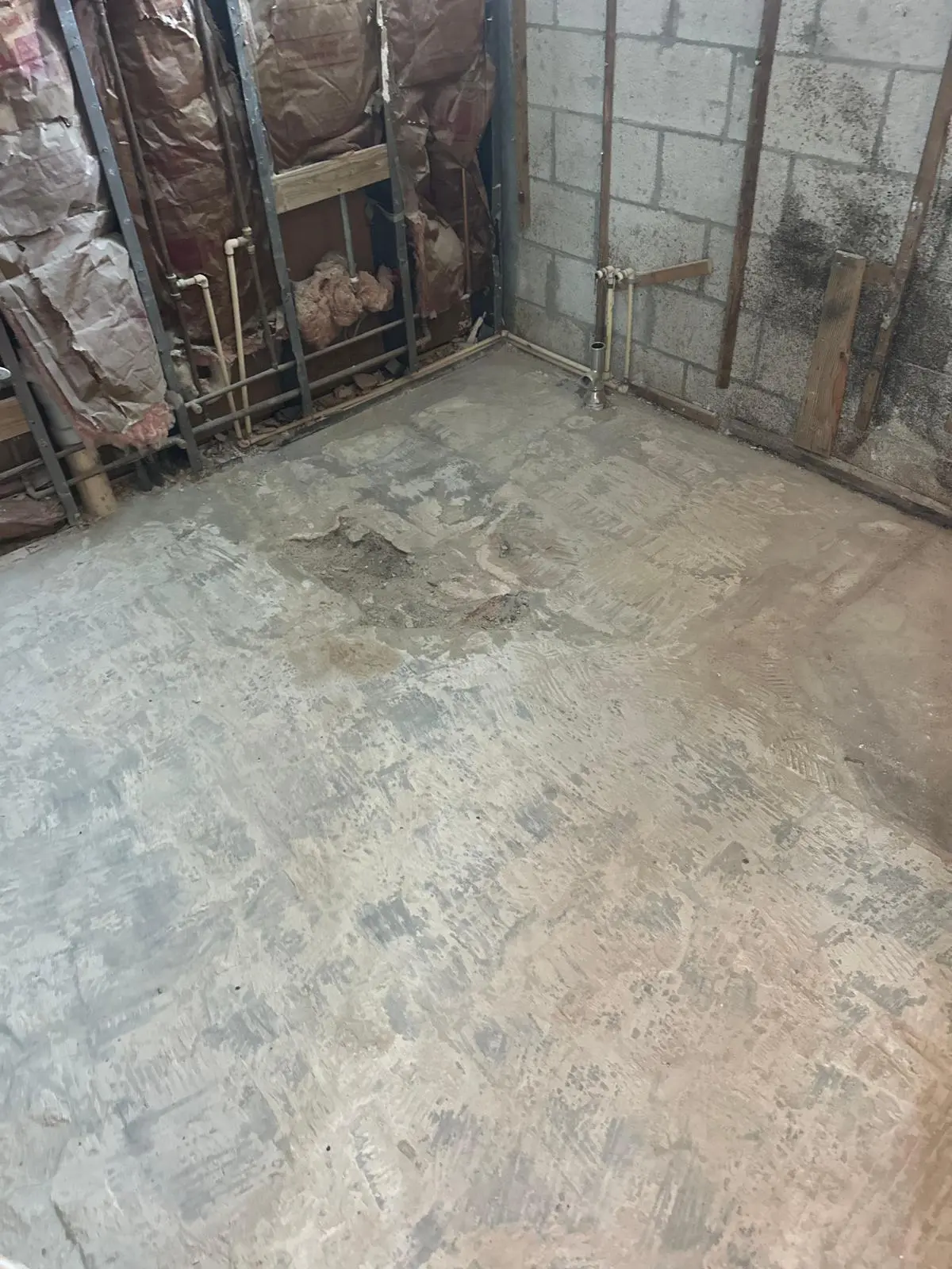 Bathroom demolition with exposed wall framing and removed flooring